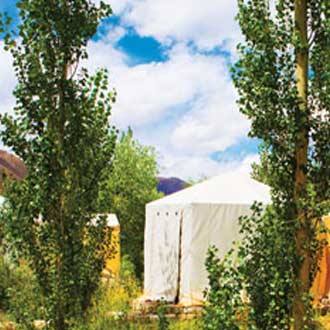West Ladakh Camp, Leh 1